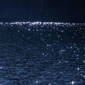 老公插女人视频
